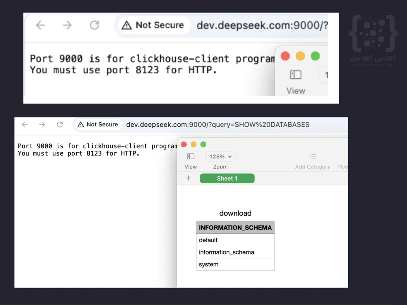 هک دیتابیس DeepSeek